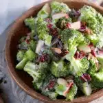 Broccoli Salad with Cranberries