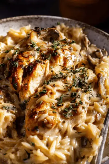 Crockpot Creamy French Onion Chicken and Orzo