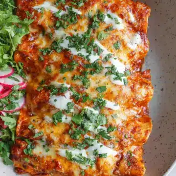 Bean and Cheese Enchiladas